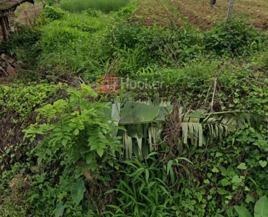 Jual Tanah Bandungan Semarang