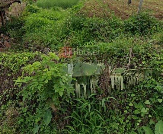 Jual Tanah Bandungan Semarang