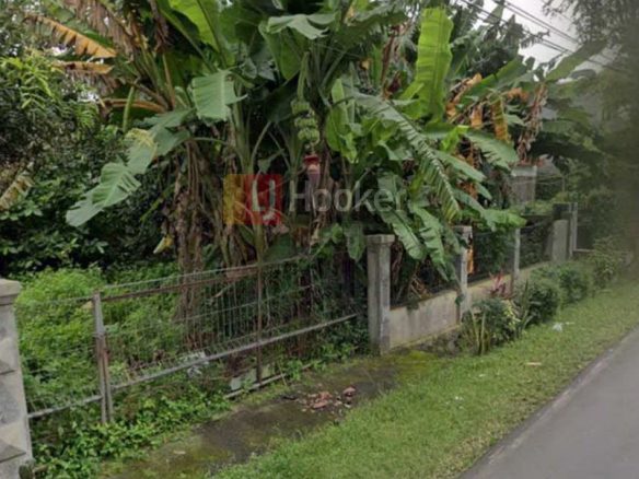 Tanah Jalan Murbei Semarang Selatan