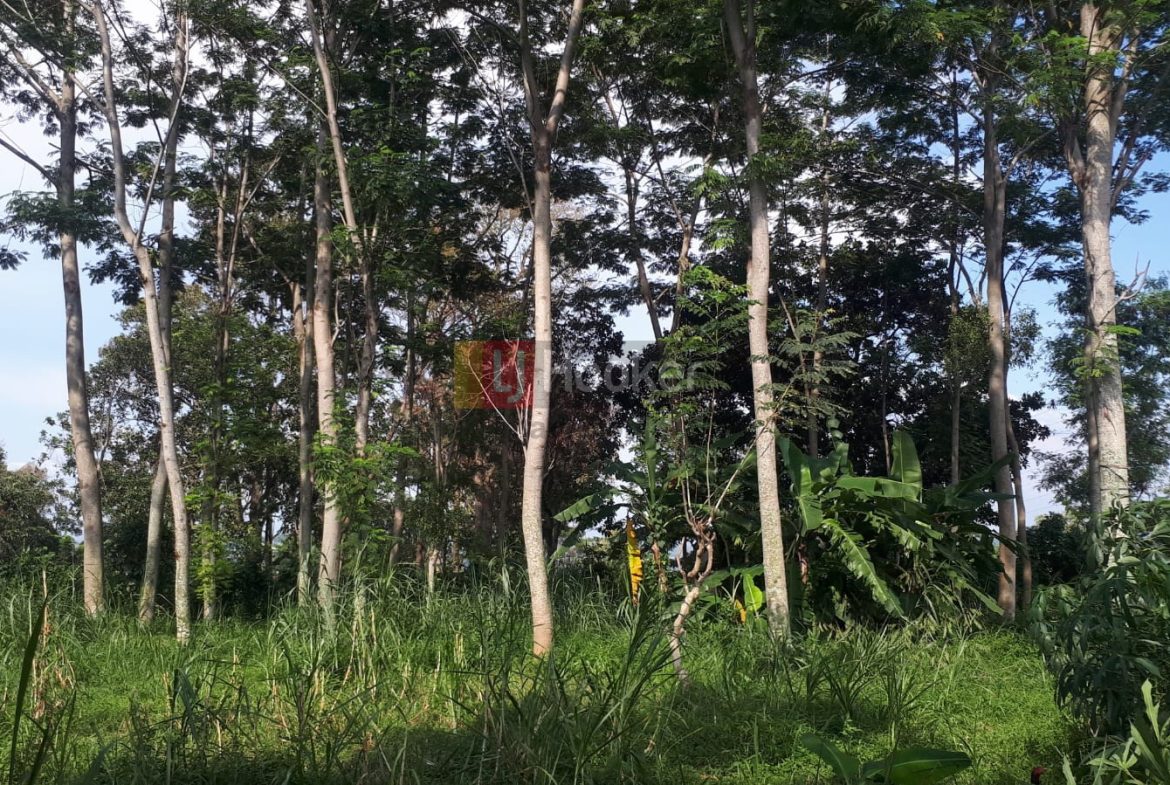 Jual Tanah Gedawang Banyumanik Semarang Selatan