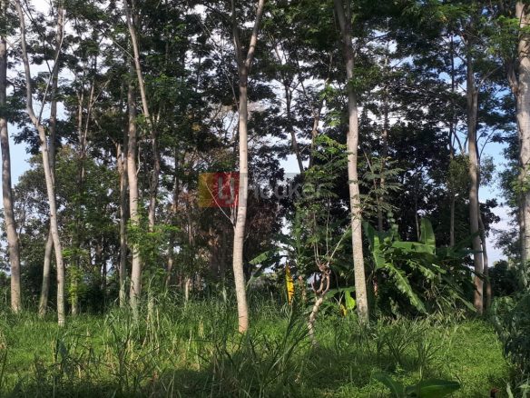 Jual Tanah Gedawang Banyumanik Semarang Selatan