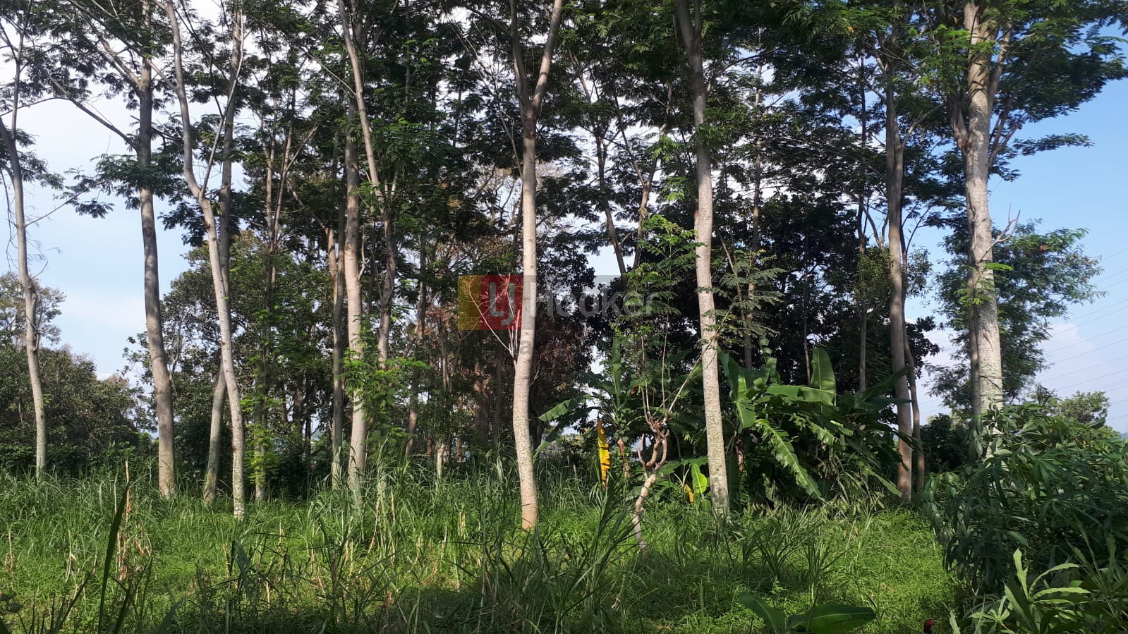 Jual Tanah Gedawang Banyumanik Semarang Selatan