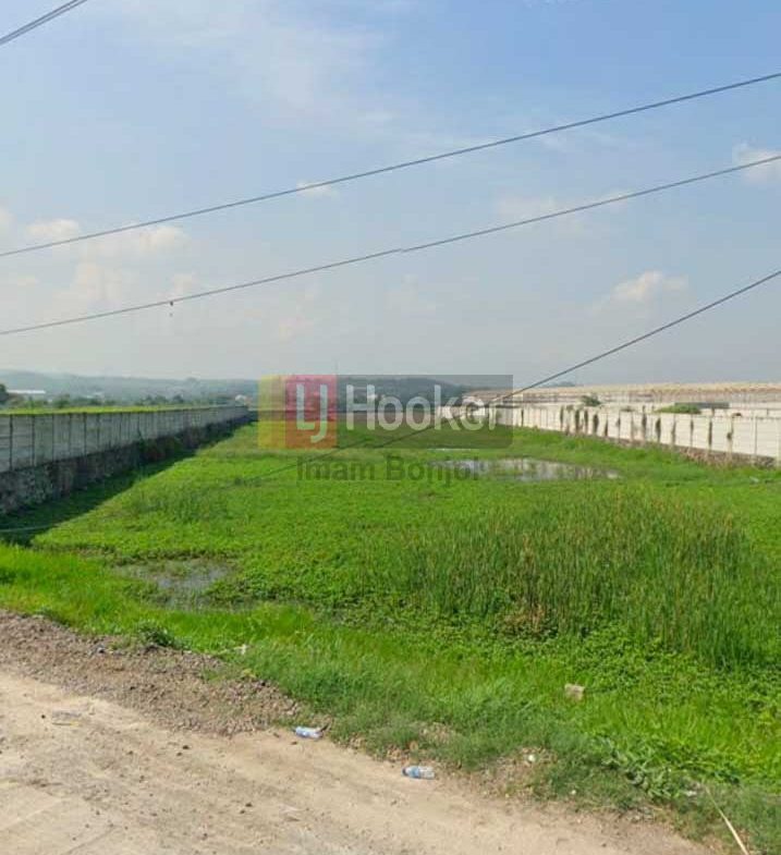 Jual Tanah Jalan Arteri Kaliwungu Kendal