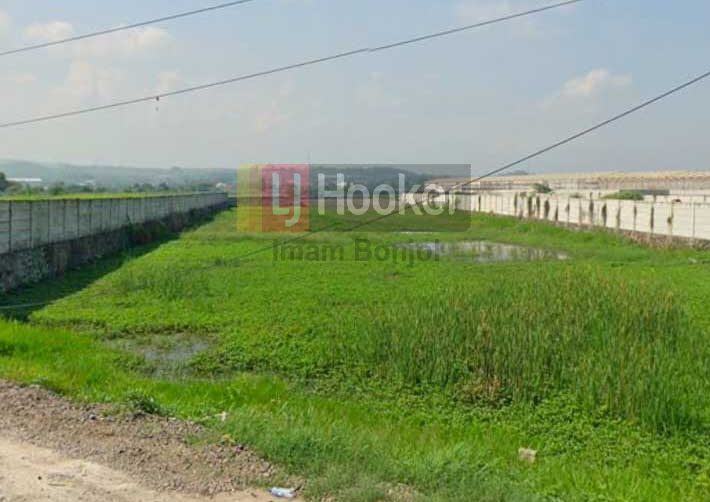 Jual Tanah Jalan Arteri Kaliwungu Kendal