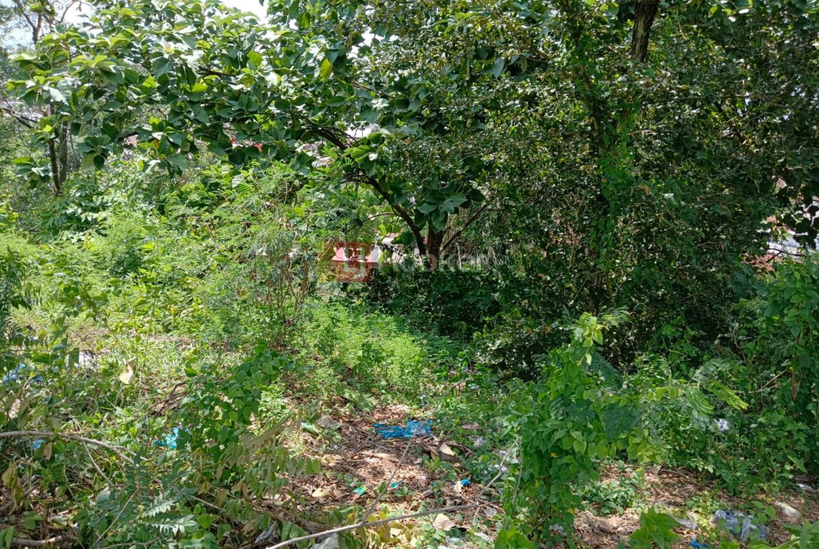 Tanah Jalan Karanggawang Kedungmundu Semarang Timur