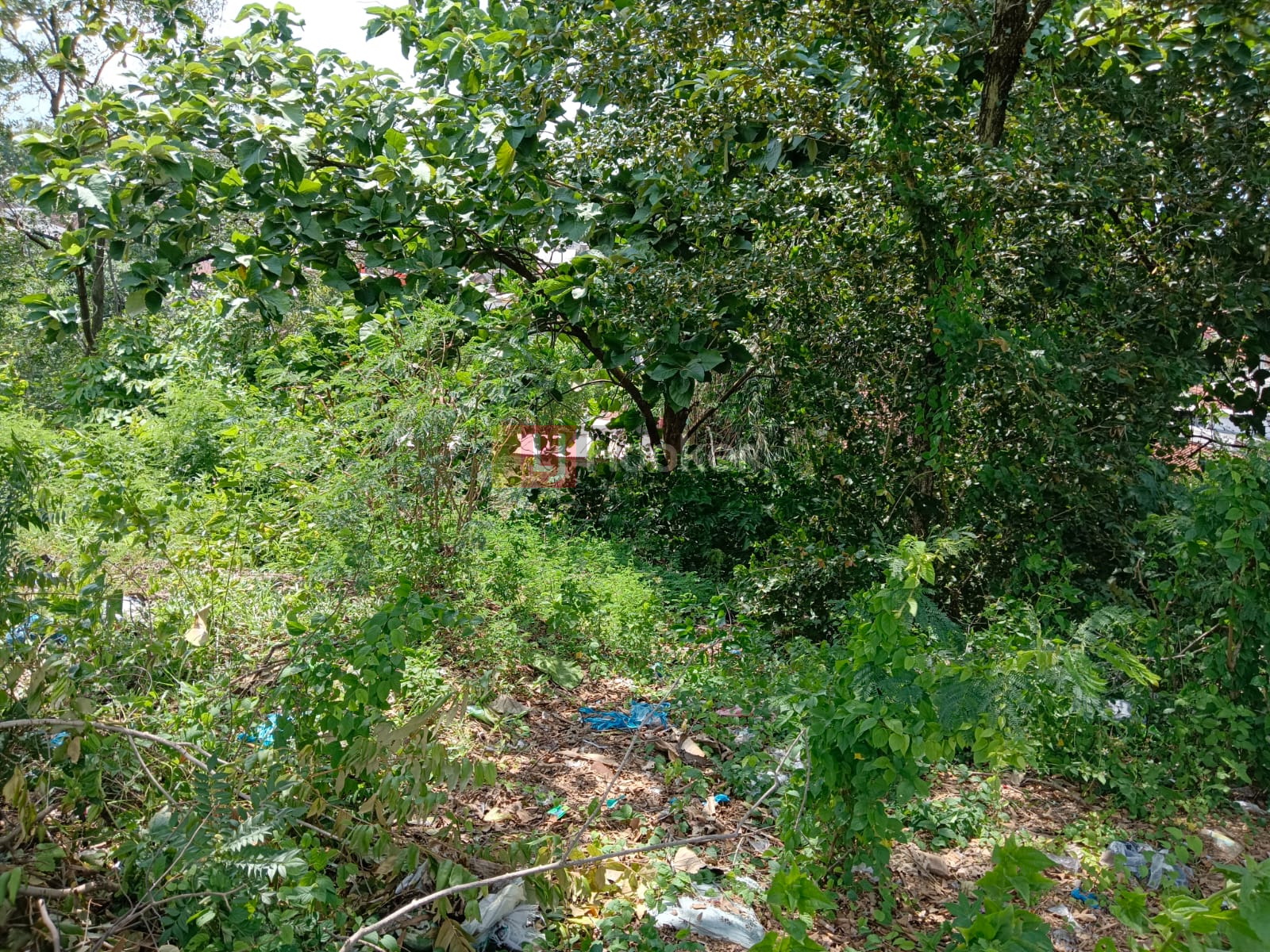 Tanah Jalan Karanggawang Kedungmundu Semarang Timur