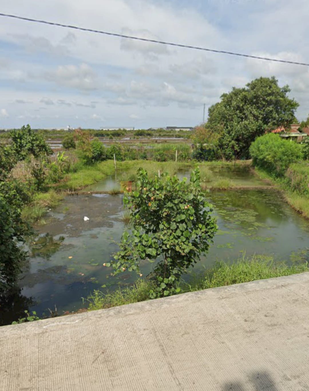 Jual Tanah Daerah Kaliwungu Kendal