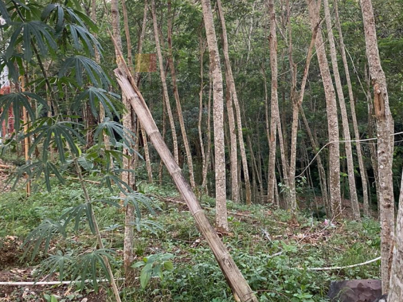 Jual Tanah di Jalan Gedawang Semarang Selatan