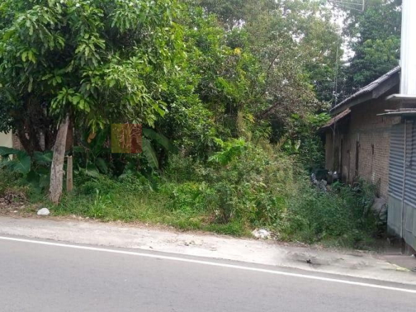 Jual Tanah Argomulyo Salatiga