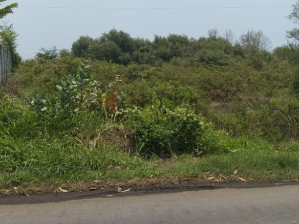 Jual Tanah Kaliwungu Kendal