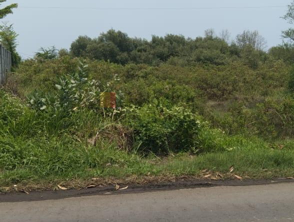 Jual Tanah Kaliwungu Kendal