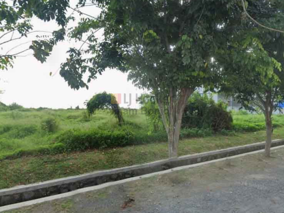 Sewa Tanah Tugu Wijaya Kusuma Tugu Semarang