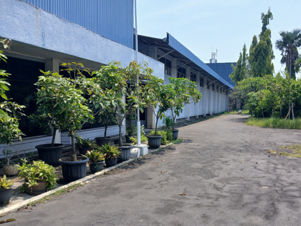 Jual Gudang Jl. Siliwangi Semarang Barat