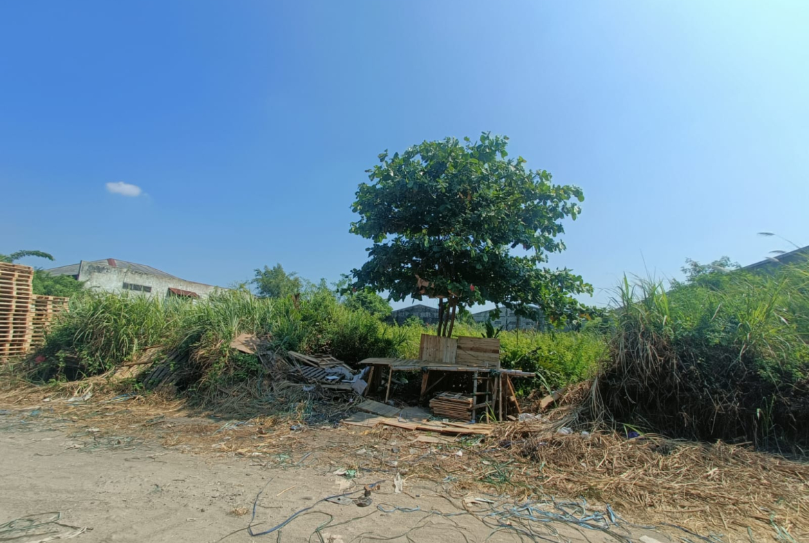 Jual Tanah Terboyo Park Semarang