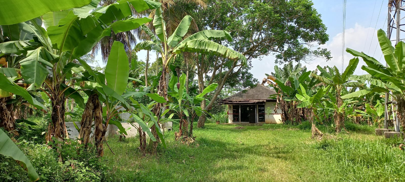 Jual Tanah Daerah Bawen Kab.Semarang