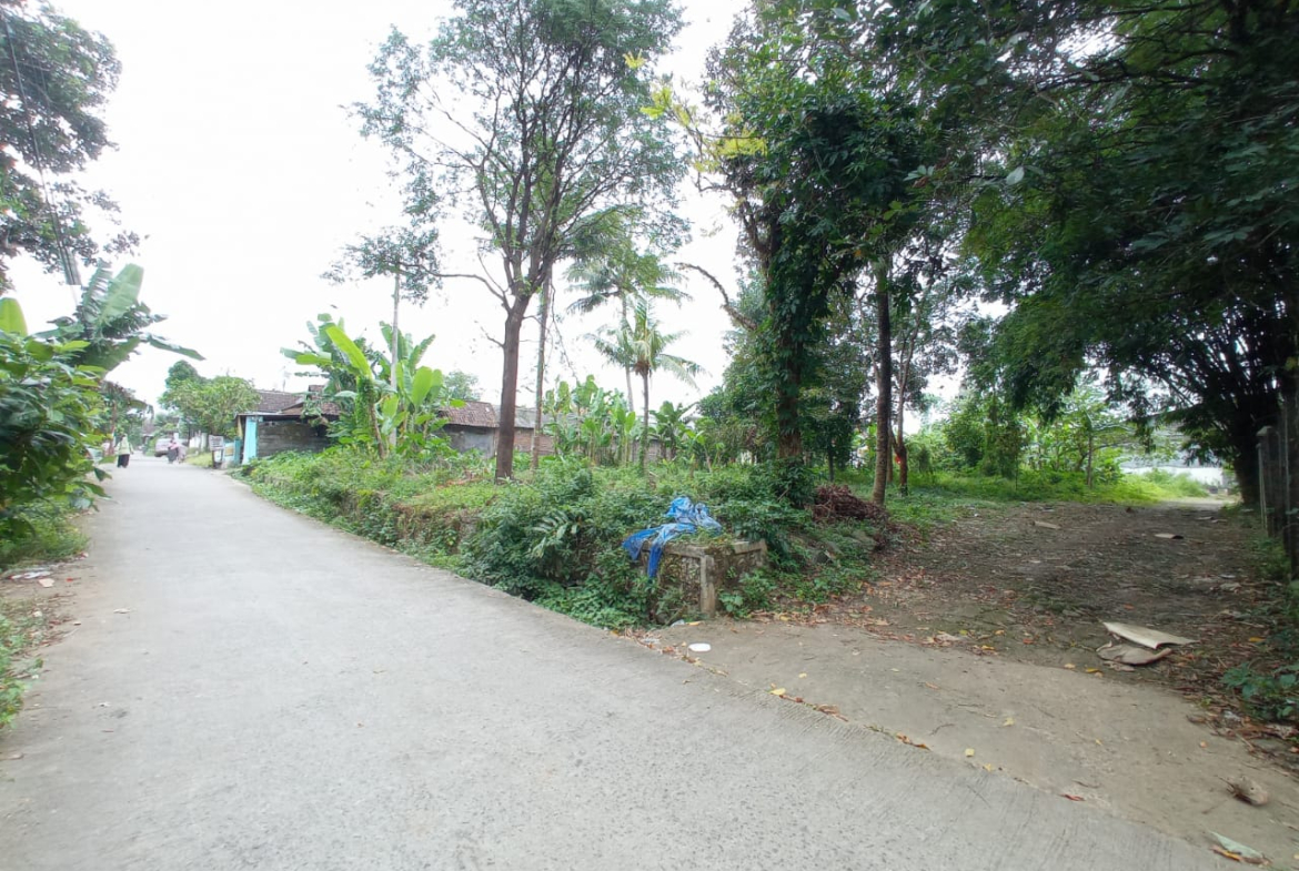 Jual Tanah Daerah Boja.Kendal