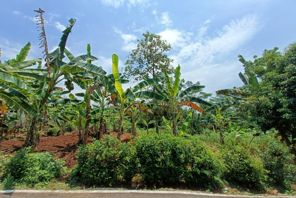 Jual Tanah Jl. Jamalsari. Mijen Semarang