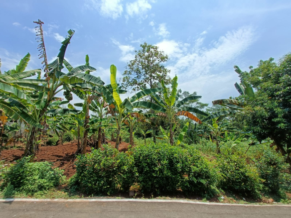 Jual Tanah Jl. Jamalsari. Mijen Semarang