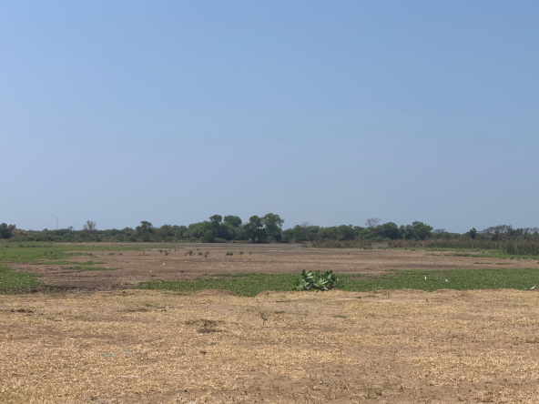 Jual Tanah Kaliwungu.Kendal